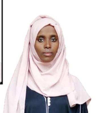 ANISA ABAJEBEL ABAFITA